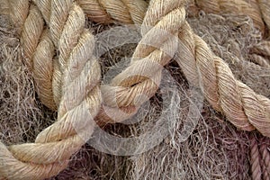 Coarse rope made from stems of natural hemp photo
