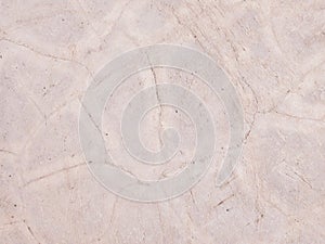 Textured Surface of Natural Stone in Roadside photo
