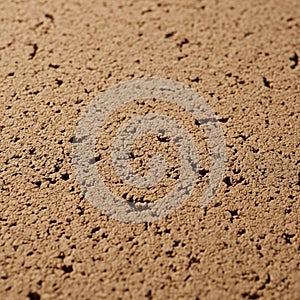 A textured surface showcases a rough,