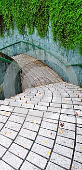 Textured of the tile pattern down the stairs with full green vine on the rough wall in garden park