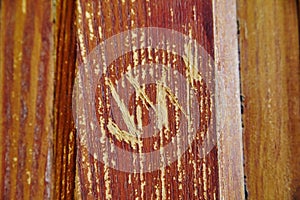 Textured Vintage Wood Grain Close-Up Detail
