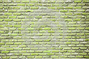 Textured wall of green bricks, detailed background