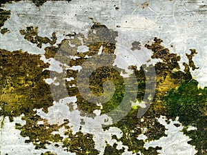 Textured Wall Surface with Moss in Roadside