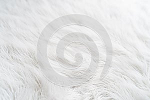 Textured white background with hairy fur carpet, close-up