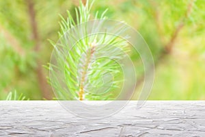 textured white surfaceon on blur pine branches background