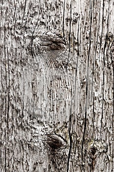 Textured wood surface