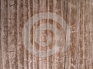 Textured Woodgrain backdrop