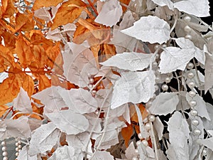 textures for the background colored white and orange artificial leaves