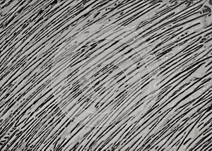 Textures, black and white abstract patterns, free form shapes