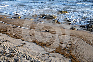 Textures, Designs and Coquina on a Florida Beach