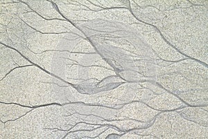Textures of freshwater veins in the sand