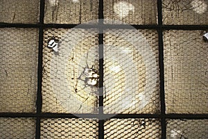 Textures and patterns