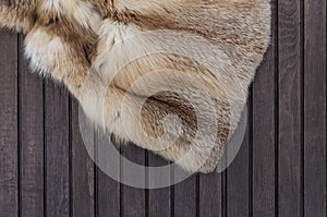 Textures red fox fur on wooden background. Top view