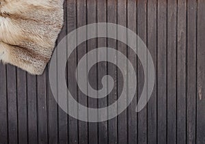 Textures red fox fur on wooden background. Top view