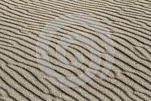 Textures in the sand on the beach