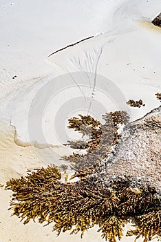 Textures in the sand at Thistle Cove at Cape le Grande, Esperance