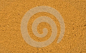 Textures of a tree. Background textures for design.