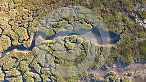 textures and veins cutting thru the wetlands of a tidal river system in Tasmanias Swan river area, Australia