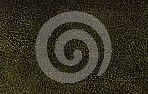 Texure of old black leather