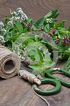 TFresh herbs lemon balm, thyme, mint on wooden board and accessories