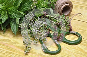 TFresh herbs lemon balm, thyme, mint on wooden board and accessories