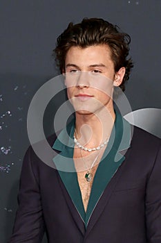 47th American Music Awards - Arrivals