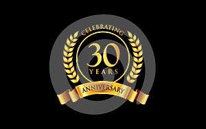 30th years anniversary logo design photo