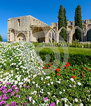 13th century Gothic monastery at Bellapais,northern cyprus 5 photo