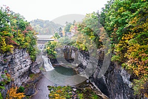 Small falls in Watkins Glen State Park, Finger Lakes, USA