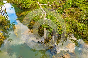 Tha Pom Klong Song Nam amazing nature in Krabi