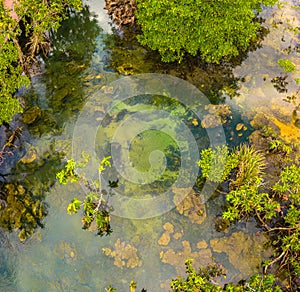 Tha Pom Klong Song Nam amazing nature in Krabi