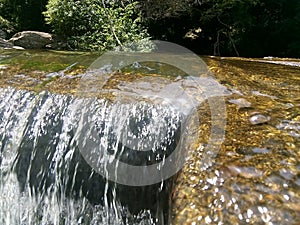 Water bunt photo