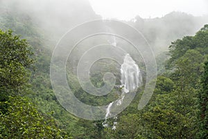 Thac Bac Waterfall Silver Falls on misty jungle in Sapa, Northern Vietnam