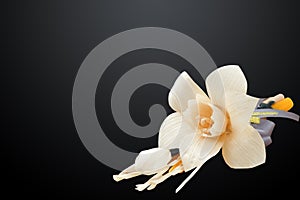 Thai Artificial Funeral Daffodil Flower
