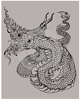 Thai asian dragon isolate on white background. photo