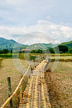 Thai bamboo walking path and bridge with beautiful sky and forrest background