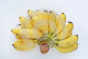 Thai banana isolated on white background. Thai cultivated banana