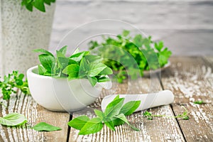 Thai basil, parsley, thyme and other herbs on wooden kitchen table