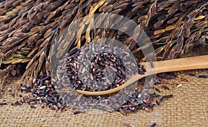 Thai black jasmine rice