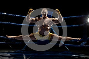 Thai boxer on boxing ring, kicking