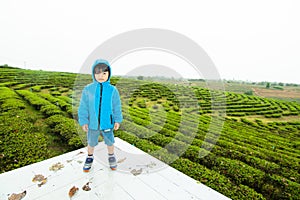 Thai boy in the feild