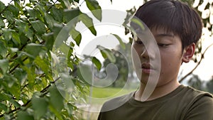 Thai boy using scissors cutting green branch in the garden, Child activities in garden.