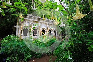 Thai Buddhist temple in jungle