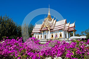 Thai buddhist temple wat in Thailand