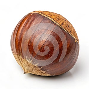 Thai chestnut isolated on white background