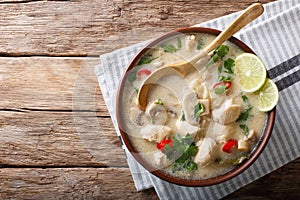 Thai chicken soup tom kha gai close-up in a bowl. horizontal top