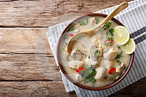 Thai chicken soup tom kha gai close-up in a bowl. horizontal top photo