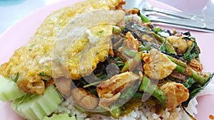 Thai chicken sweet basil with rice and omlet