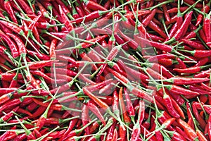 Thai Chili Peppers Background