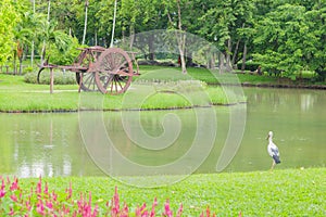 Thai classic vehicles or wagons.